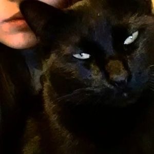 Meet your Posher, Kimberlee